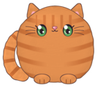 Ginger